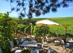 Gutsausschank Im Baiken