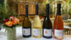Champagner Collard-Picard - 2