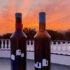 Lanzarote: Aus Vulkankratern kriecht ein einzigartiger Wein